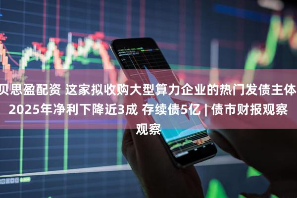 贝思盈配资 这家拟收购大型算力企业的热门发债主体 2025年净利下降近3成 存续债5亿 | 债市财报观察